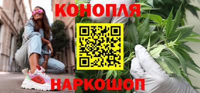 МДПВ Пугачёв
