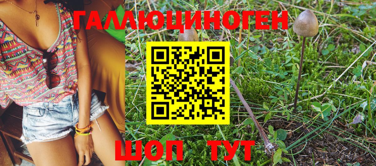 Псилоцибиновые грибы MAGIC MUSHROOMS Ялуторовск