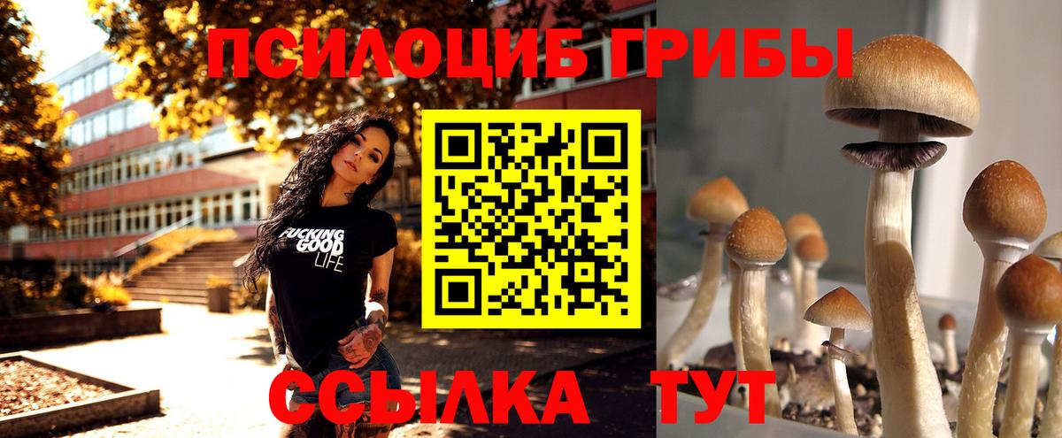 Псилоцибиновые грибы мухоморы  Вход с VPN  Ялуторовск 